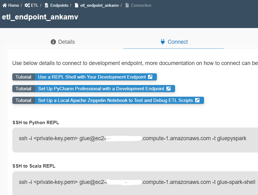 Create ETL Endpoint